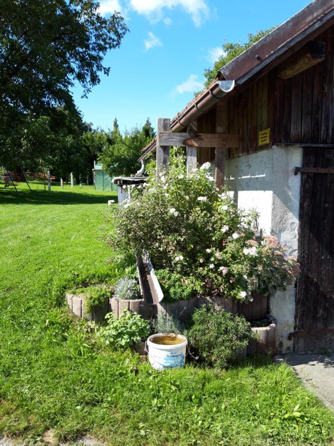Ferienwohnung Im Seidlerhof Mit Balkon Und Garten Rohrnbach Exterior photo